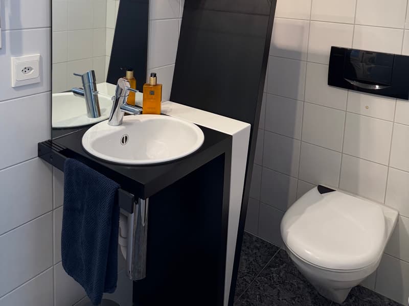 3½ ZI-WOHNUNG IN UETENDORF (BE), MÖBLIERT, TEMPORÄR (6)