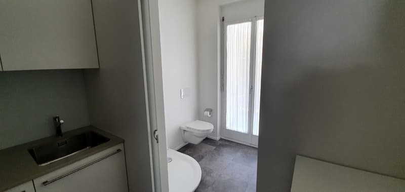 1 ZI-WOHNUNG IN BASEL - BIRSFELDEN, MÖBLIERT (7)