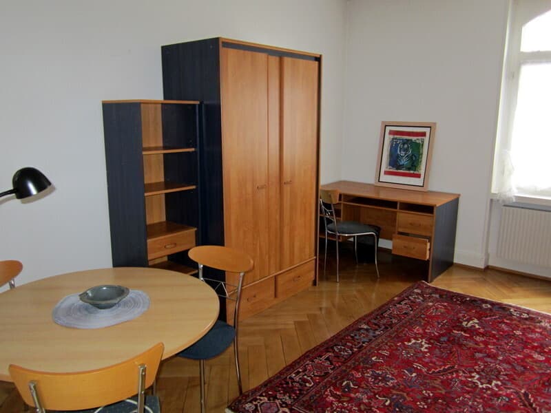 1 ZI-WOHNUNG IN BASEL - BIRSFELDEN, MÖBLIERT (4)