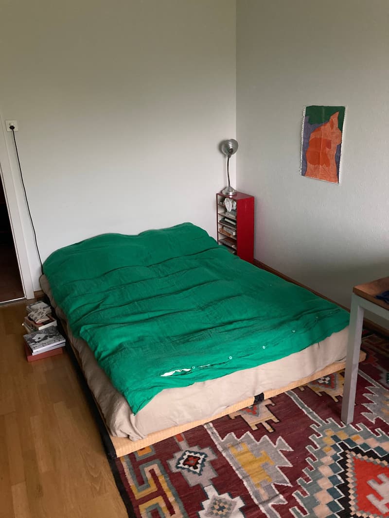 2 ZI-WOHNUNG IN BASEL - ST. JOHANN, MÖBLIERT, TEMPORÄR (6)