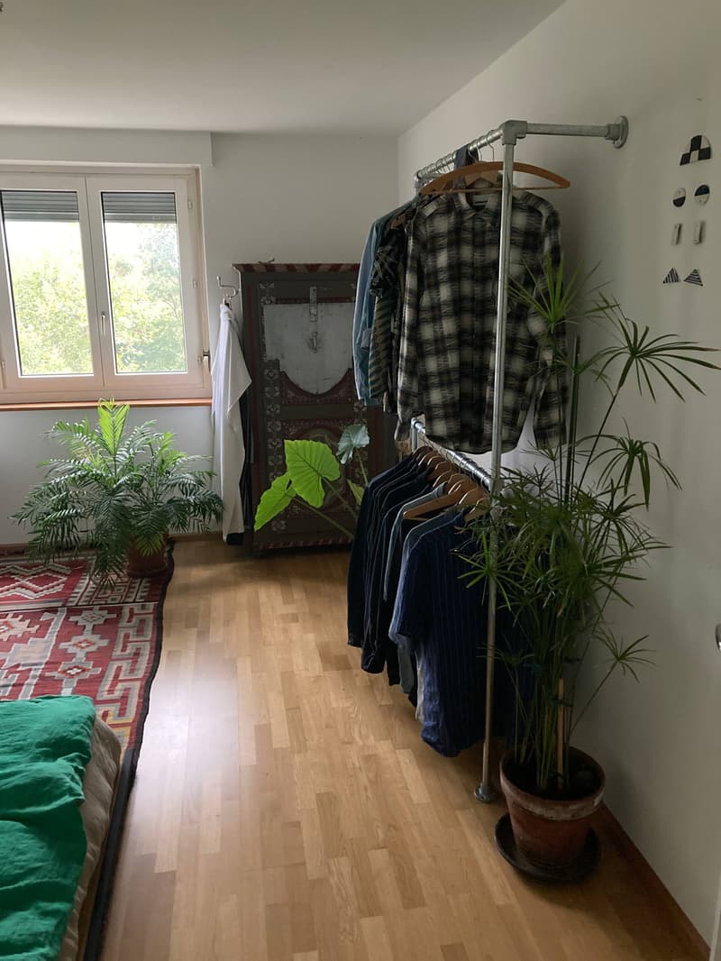 2 ZI-WOHNUNG IN BASEL - ST. JOHANN, MÖBLIERT, TEMPORÄR (7)