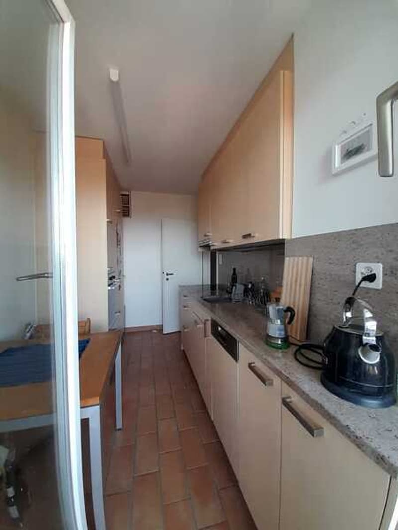 2 ZI-WOHNUNG IN BASEL - ST. JOHANN, MÖBLIERT, TEMPORÄR (3)