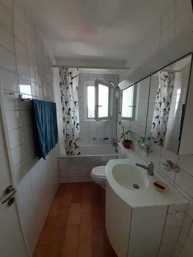 2 ZI-WOHNUNG IN BASEL - ST. JOHANN, MÖBLIERT, TEMPORÄR (4)