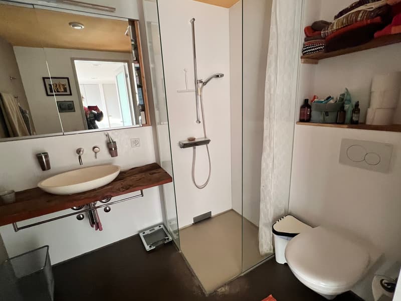 3½ ZI-WOHNUNG IN OSTERMUNDIGEN (BE), MÖBLIERT, TEMPORÄR (5)