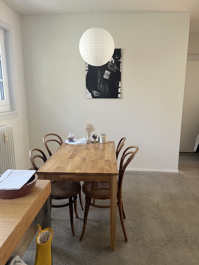 2½ ZI-WOHNUNG IN BERN - SULGENAU, MÖBLIERT, TEMPORÄR (4)
