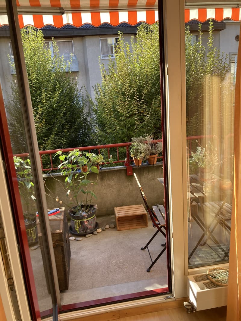 3 ZI-WOHNUNG IN BERN - BREITENRAIN, MÖBLIERT, TEMPORÄR (6)