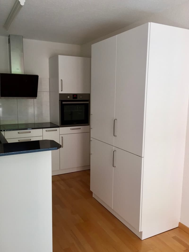 2½ ZI-WOHNUNG IN EBMATINGEN (ZH), MÖBLIERT, TEMPORÄR (2)