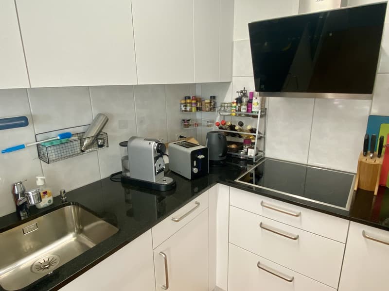 2½ ZI-WOHNUNG IN EBMATINGEN (ZH), MÖBLIERT, TEMPORÄR (3)