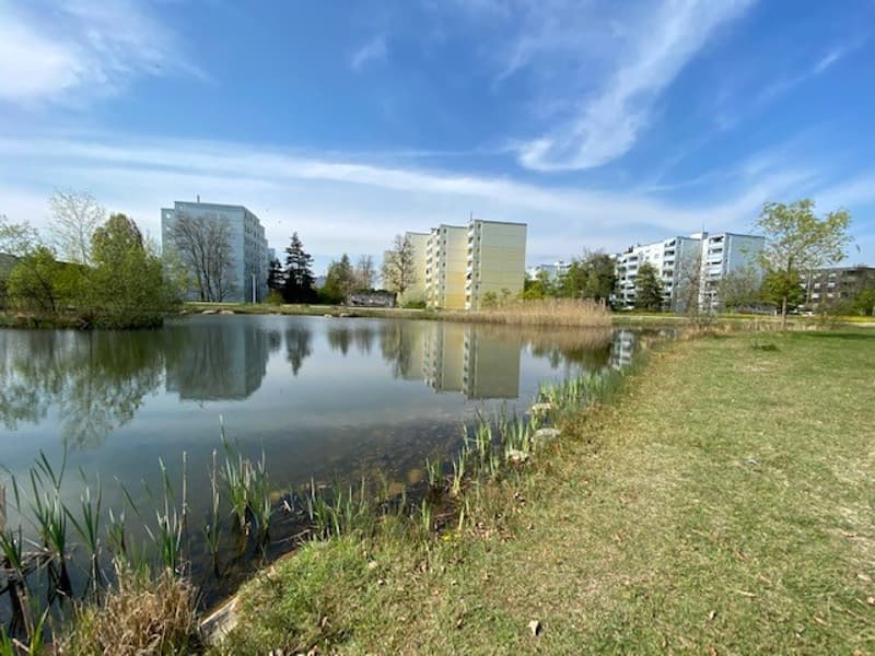 5½ ZI-WOHNUNG IN VOLKETSWIL (ZH), MÖBLIERT (9)