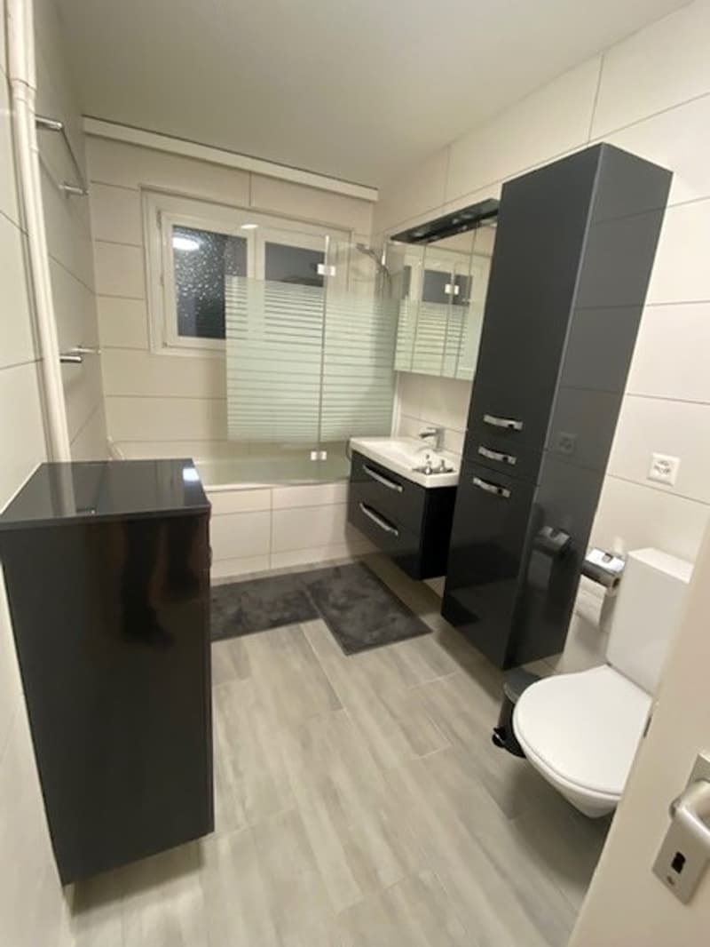 5½ ZI-WOHNUNG IN VOLKETSWIL (ZH), MÖBLIERT (8)