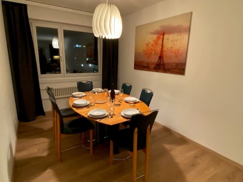 5½ ZI-WOHNUNG IN VOLKETSWIL (ZH), MÖBLIERT (2)