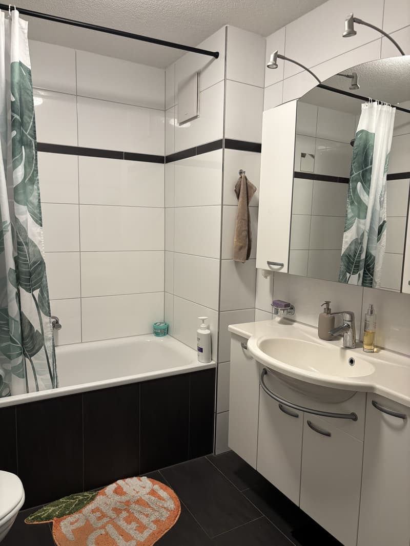 3½ ZI-WOHNUNG IN BIBERIST (SO), MÖBLIERT, TEMPORÄR (5)