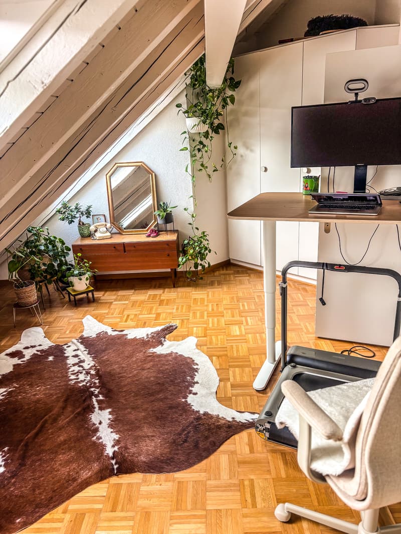 3½ ZIMMER-ATTIKAWOHNUNG IN ZÜRICH - KREIS 3 WIEDIKON, MÖBLIERT, TEMPOR (7)