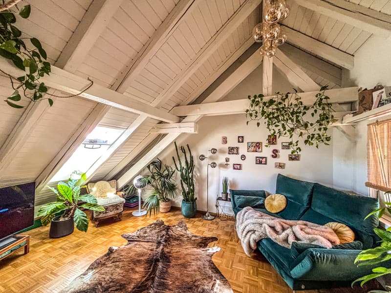 3½ ZIMMER-ATTIKAWOHNUNG IN ZÜRICH - KREIS 3 WIEDIKON, MÖBLIERT, TEMPOR (2)
