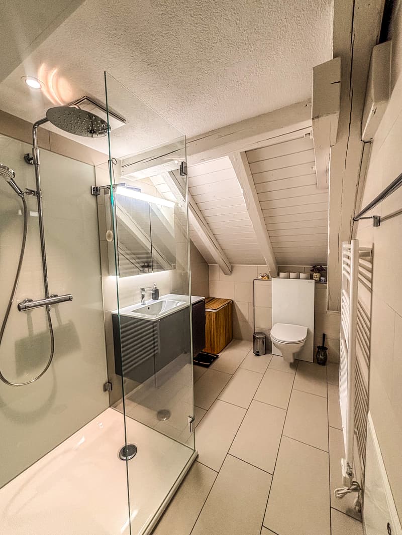 3½ ZIMMER-ATTIKAWOHNUNG IN ZÜRICH - KREIS 3 WIEDIKON, MÖBLIERT, TEMPOR (5)