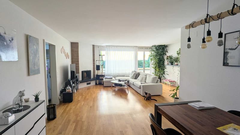 3½ ZI-WOHNUNG IN WABERN (BE), MÖBLIERT, TEMPORÄR (1)