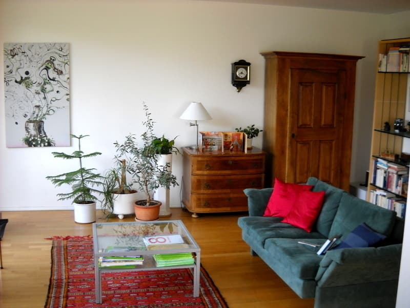 3½ ZI-WOHNUNG IN WORB (BE), MÖBLIERT, TEMPORÄR (2)