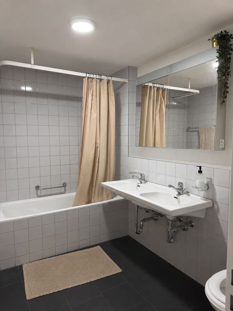 4½ ZI-WOHNUNG IN LUZERN, MÖBLIERT, TEMPORÄR (6)