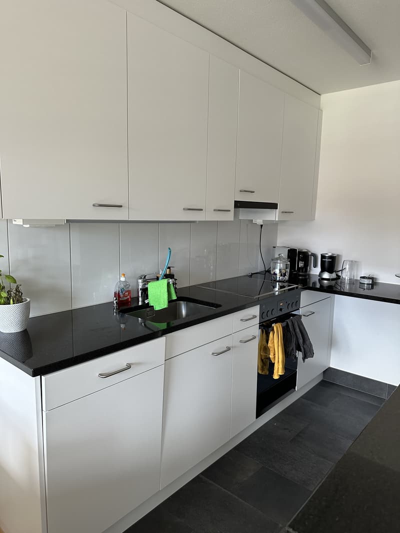 4½ ZI-WOHNUNG IN VOLKETSWIL (ZH), MÖBLIERT, TEMPORÄR (4)
