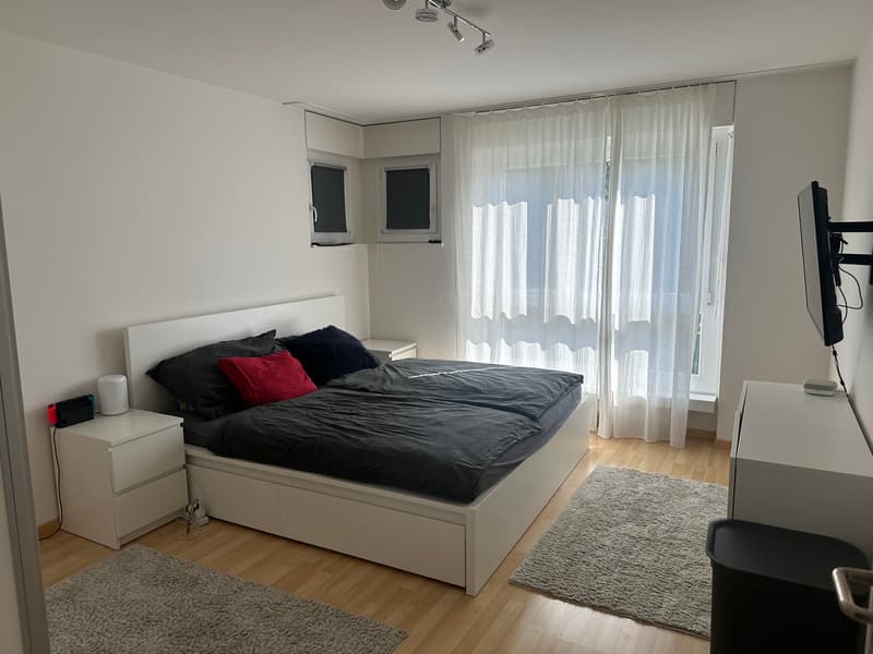4½ ZI-WOHNUNG IN VOLKETSWIL (ZH), MÖBLIERT, TEMPORÄR (2)