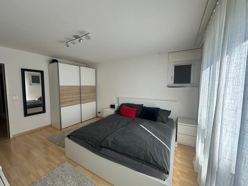 4½ ZI-WOHNUNG IN VOLKETSWIL (ZH), MÖBLIERT, TEMPORÄR (3)