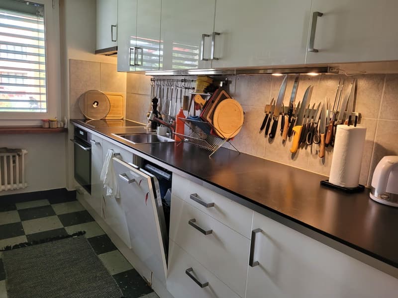 3½ ZI-WOHNUNG IN CHAM (ZG), MÖBLIERT, TEMPORÄR (3)