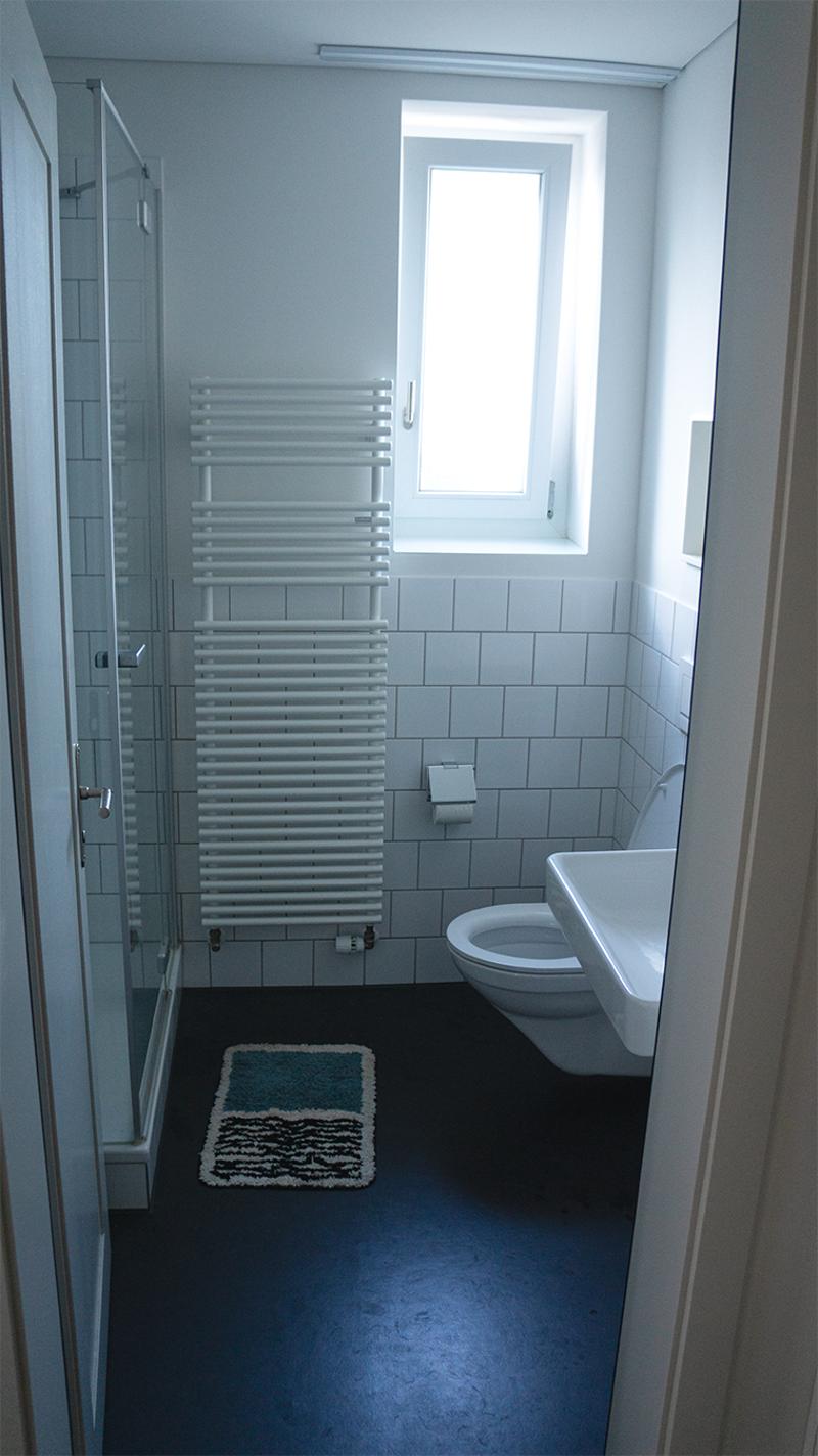 2 ZI-WOHNUNG IN ST. GALLEN, MÖBLIERT, TEMPORÄR (8)