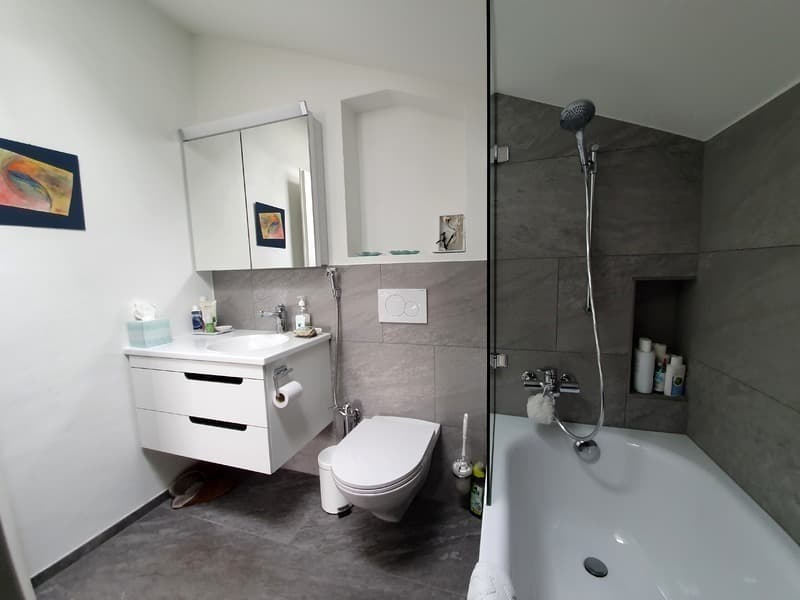 3½ ZIMMER-LOFT IN ZIZERS (GR), MÖBLIERT, TEMPORÄR (4)