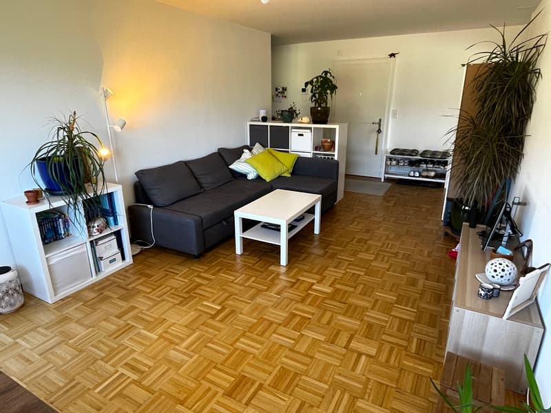 2 ZI-WOHNUNG IN NIDAU (BE), MÖBLIERT, TEMPORÄR (1)