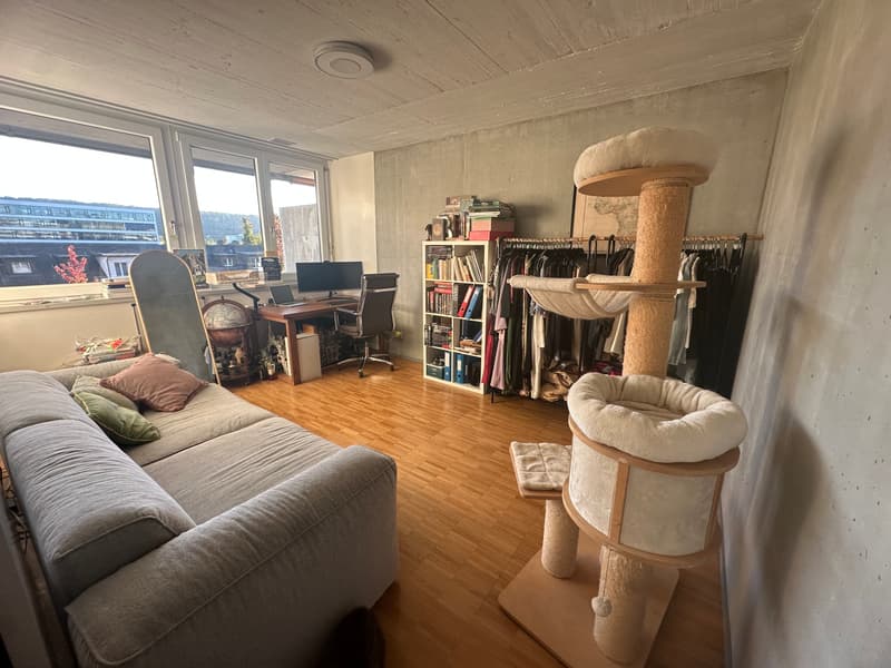 3½ ZI-WOHNUNG IN WALLISELLEN (ZH), MÖBLIERT, TEMPORÄR (10)