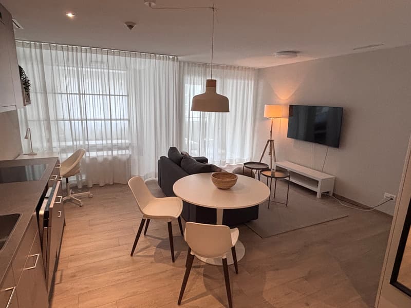 1½ ZI-WOHNUNG IN NEUHAUSEN AM RHEINFALL (SH), MÖBLIERT, TEMPORÄR (3)