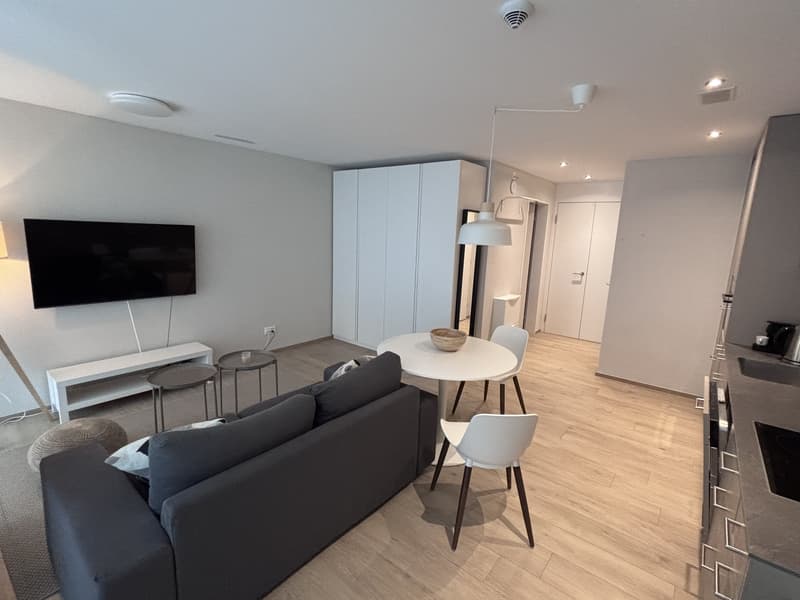 1½ ZI-WOHNUNG IN NEUHAUSEN AM RHEINFALL (SH), MÖBLIERT, TEMPORÄR (1)