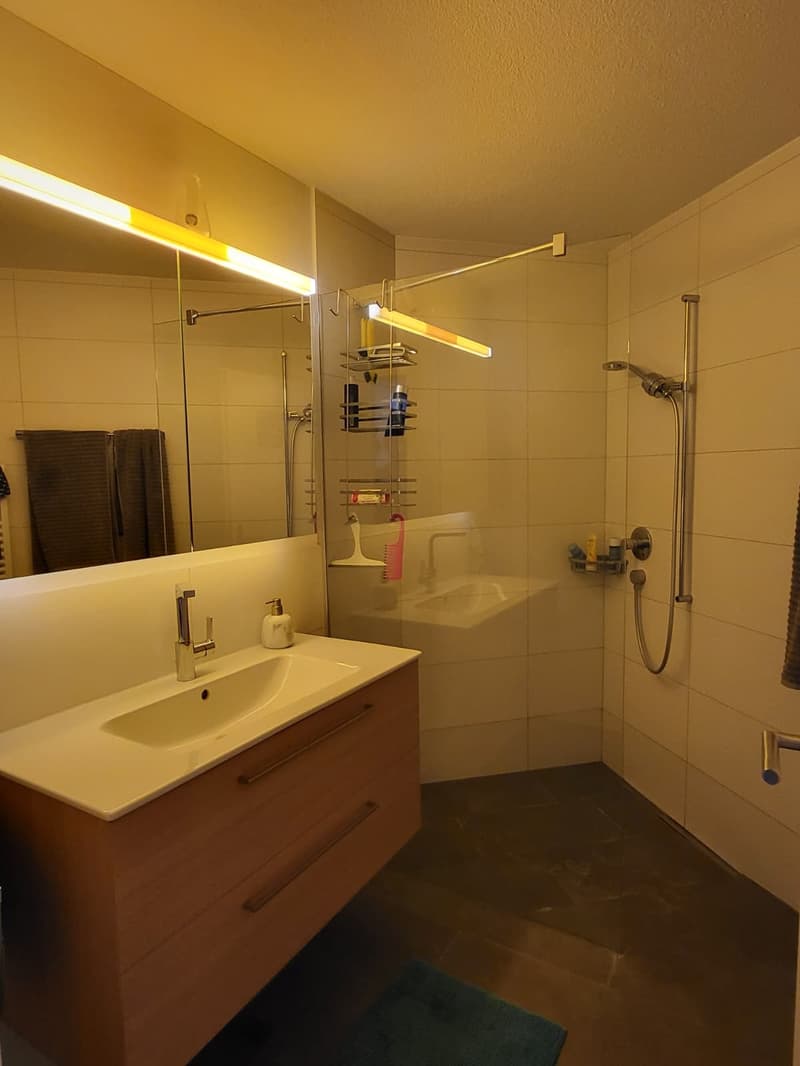 2½ ZI-WOHNUNG IN HORW (LU), MÖBLIERT, TEMPORÄR (7)