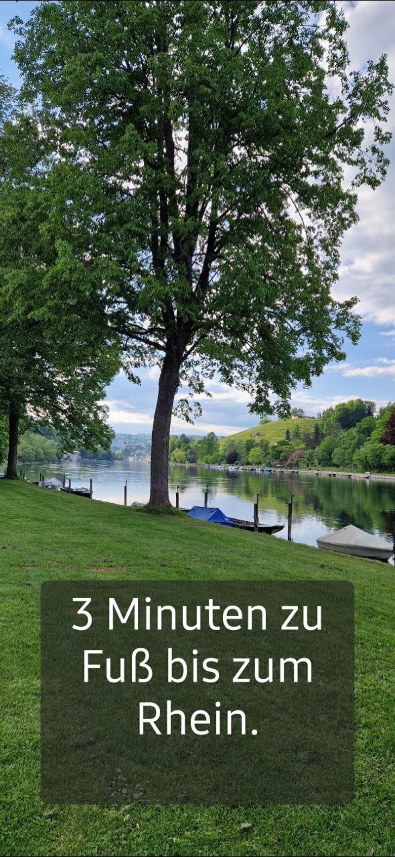 3½ ZI-WOHNUNG IN LANGWIESEN (ZH), MÖBLIERT, TEMPORÄR (10)