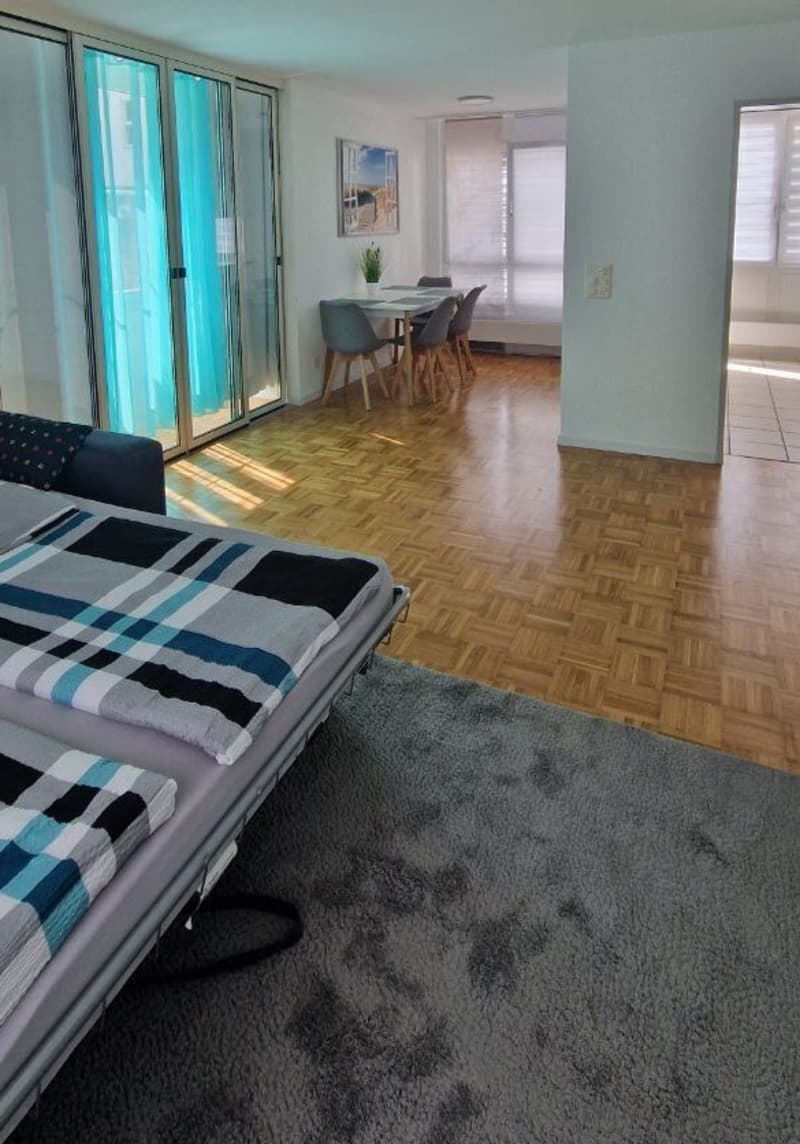3½ ZI-WOHNUNG IN LANGWIESEN (ZH), MÖBLIERT, TEMPORÄR (2)
