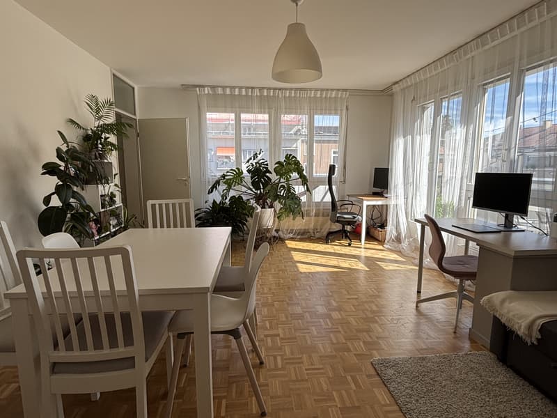 2 ZI-WOHNUNG IN BASEL - GUNDELDINGEN, MÖBLIERT, TEMPORÄR (2)