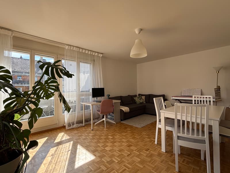2 ZI-WOHNUNG IN BASEL - GUNDELDINGEN, MÖBLIERT, TEMPORÄR (1)