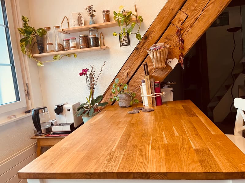 1 ZIMMER-ATTIKAWOHNUNG IN HÜTTEN (ZH), MÖBLIERT, TEMPORÄR (6)