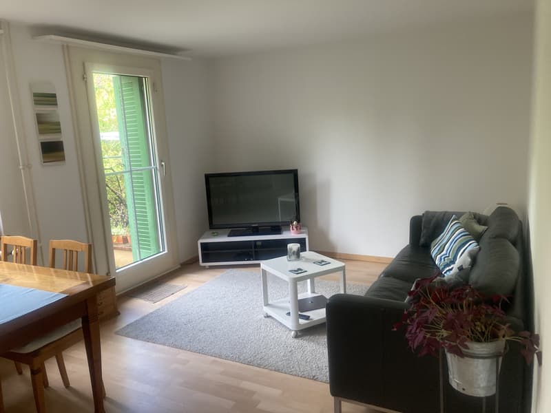 3 ZIMMER-HAUS IN ZÜRICH - KREIS 11 AFFOLTERN, MÖBLIERT, TEMPORÄR (1)