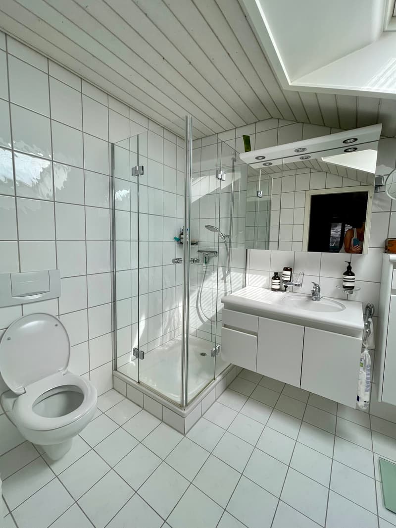 3½ ZIMMER-MAISONETTEWOHNUNG IN ZOLLIKON (ZH), MÖBLIERT, TEMPORÄR (7)