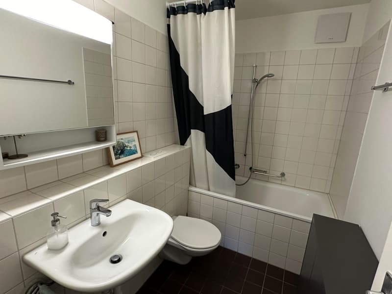 2½ ZI-WOHNUNG IN ZÜRICH, MÖBLIERT, TEMPORÄR (7)