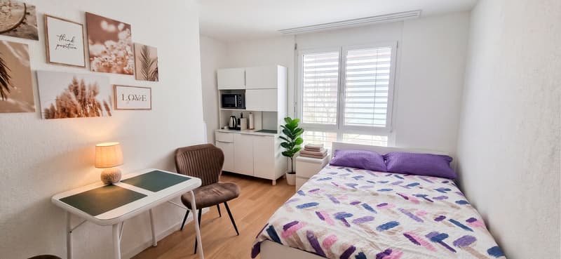 STUDIO IN LANGWIESEN (ZH), MÖBLIERT, TEMPORÄR (1)