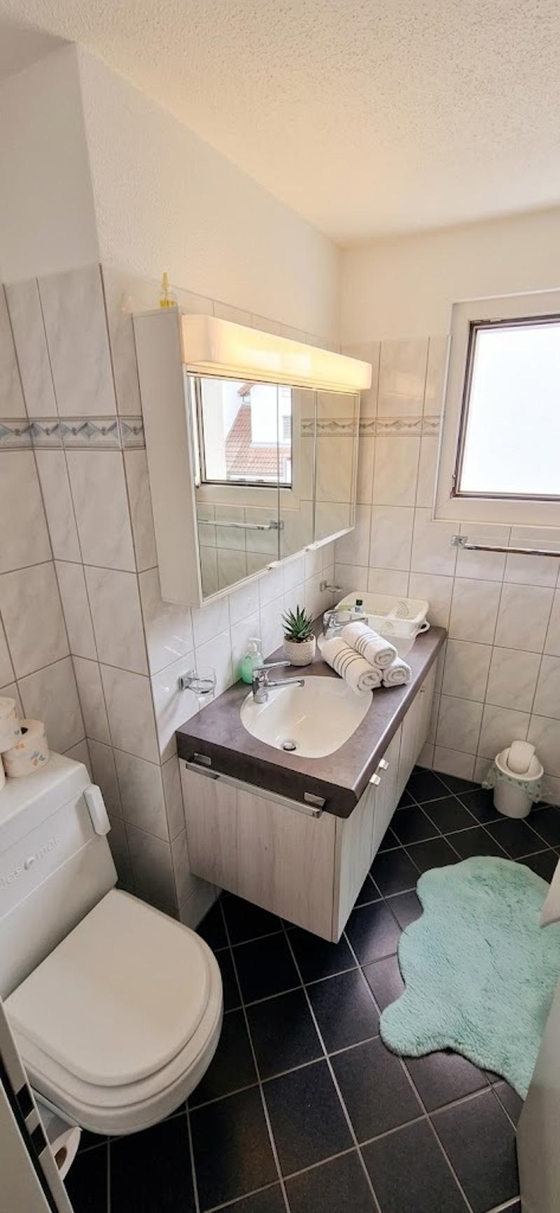 STUDIO IN LANGWIESEN (ZH), MÖBLIERT, TEMPORÄR (2)