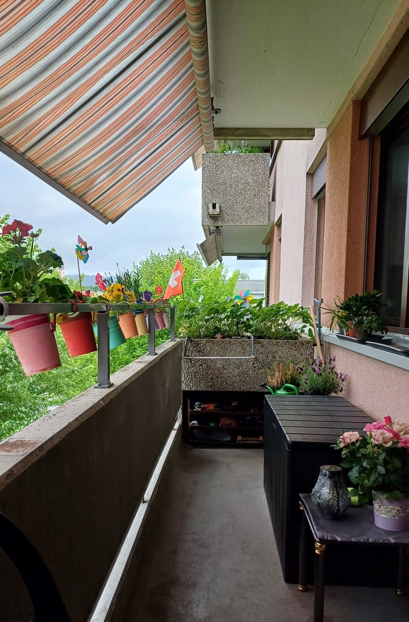 3½ ZI-WOHNUNG IN SCHÖNENWERD (SO), MÖBLIERT (8)