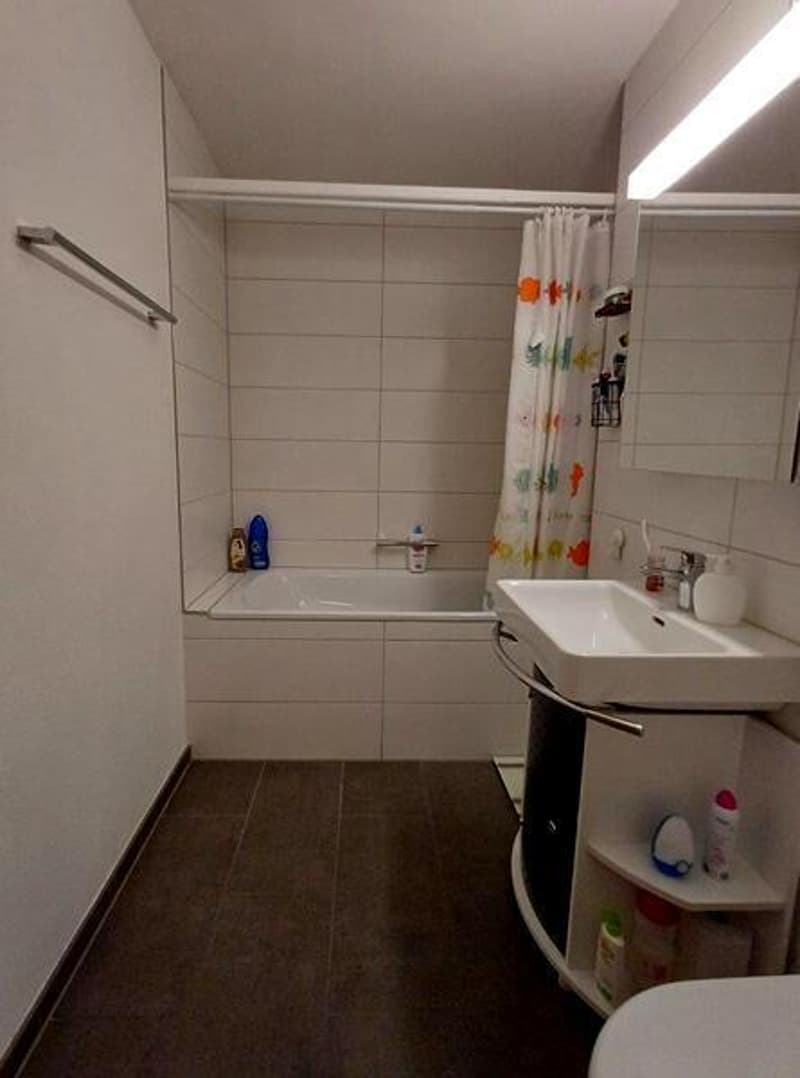 3½ ZI-WOHNUNG IN SCHÖNENWERD (SO), MÖBLIERT (7)