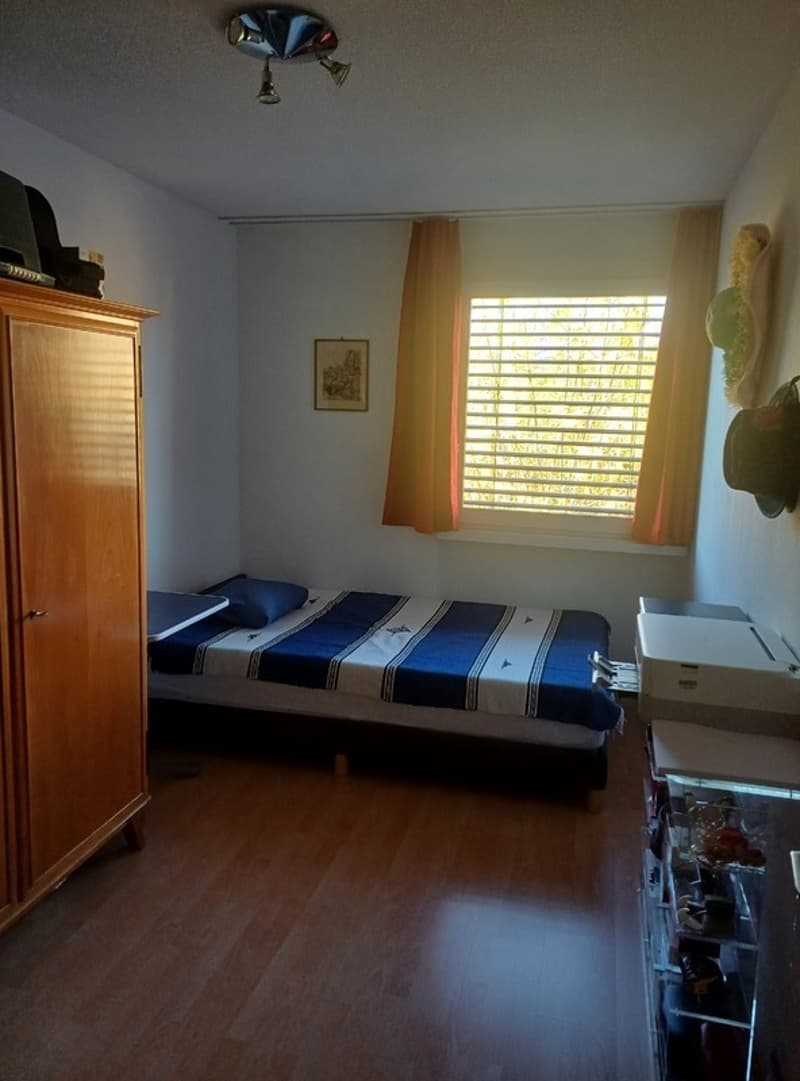 3½ ZI-WOHNUNG IN SCHÖNENWERD (SO), MÖBLIERT (6)