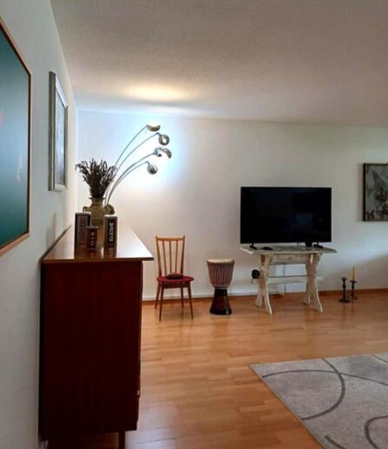 3½ ZI-WOHNUNG IN SCHÖNENWERD (SO), MÖBLIERT (3)