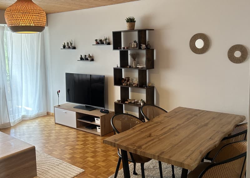 3 ZI-WOHNUNG IN ST. GALLEN - INNENSTADT, MÖBLIERT, TEMPORÄR (1)
