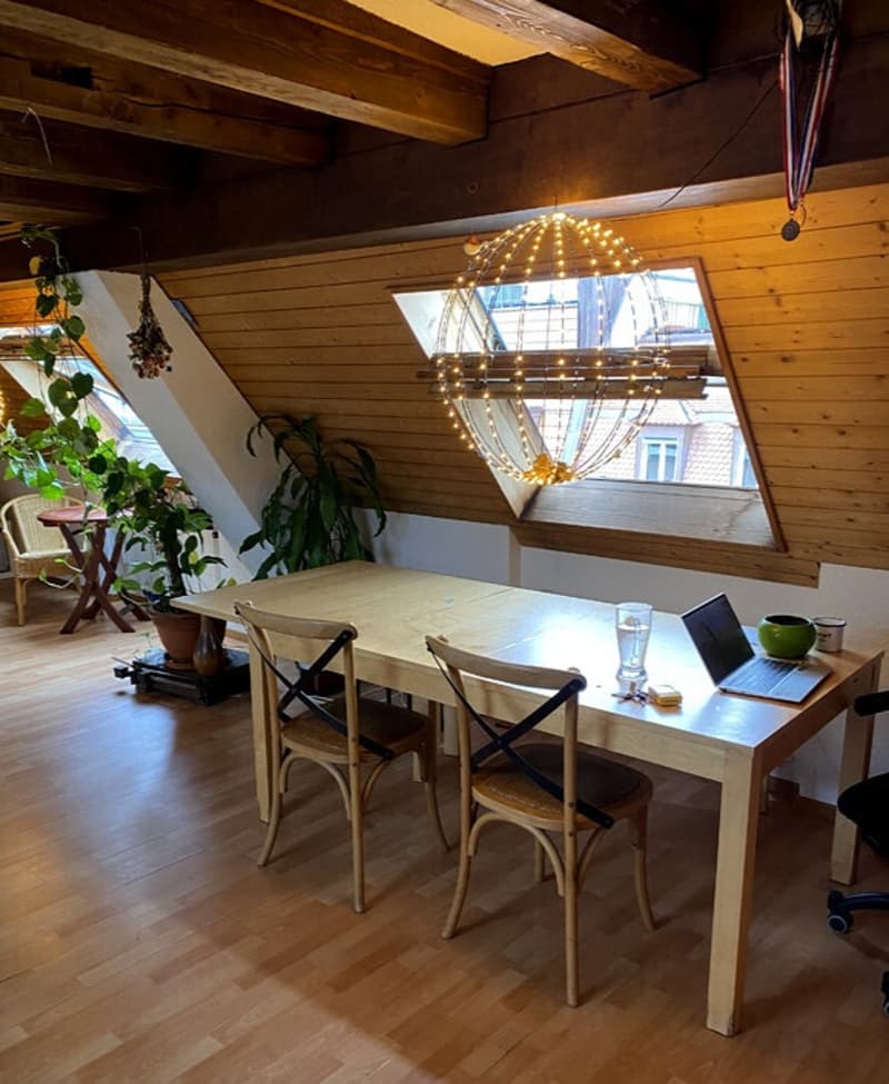 1½ ZIMMER-DACHWOHNUNG IN ZÜRICH - KREIS 3 SIHLFELD, MÖBLIERT, TEMPORÄR (2)