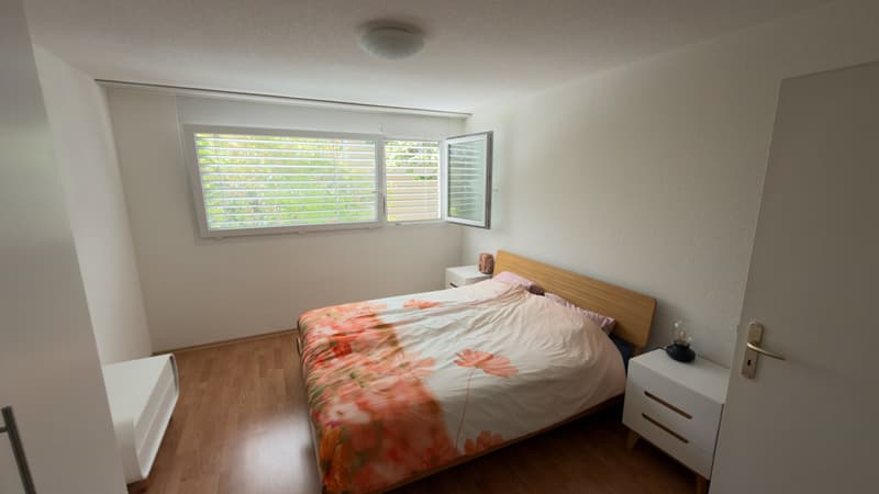 3½ ZI-WOHNUNG IN ZÜRICH - KREIS 11 SEEBACH, MÖBLIERT, TEMPORÄR (5)